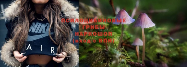 молекула духа Лиски