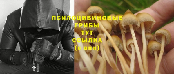 молекула духа Лиски