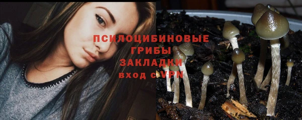 альфа пвп Липки