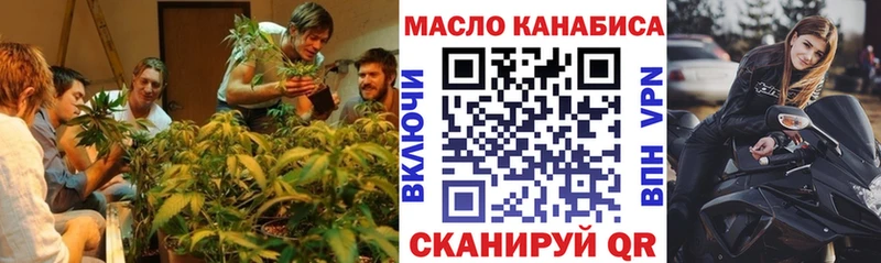 blacksprut зеркало  Северская  Дистиллят ТГК жижа  как найти  