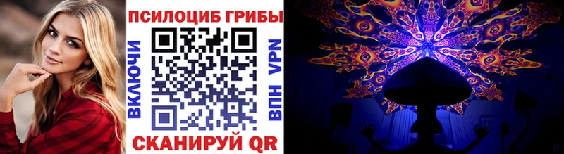 как найти закладки Северская Галлюциногенные грибы Magic Shrooms